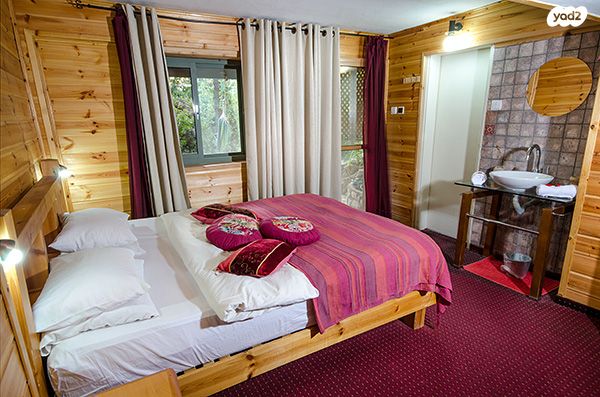 דירת גן, האורנים 1, אמירים