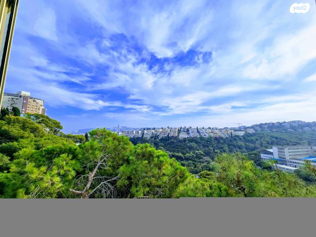 דירה, שדרות ודג'ווד 38, מרכז הכרמל, חיפה