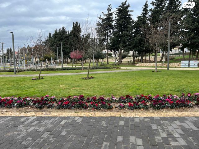 השופט חיים כהן 14