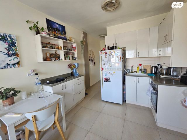 דוד שמעוני 43