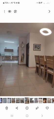 שלמה קפלנסקי 20