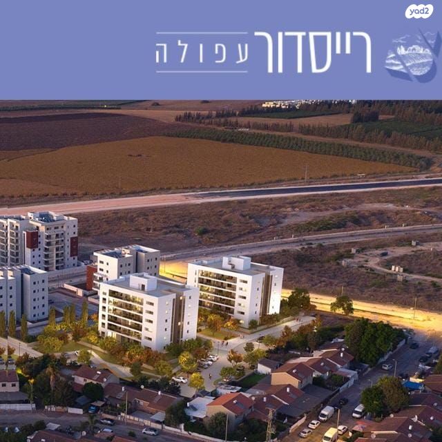 דולב 37