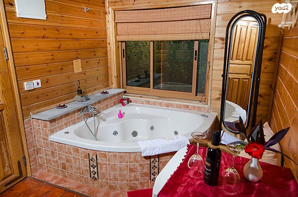 דירת גן, האורנים 1, אמירים