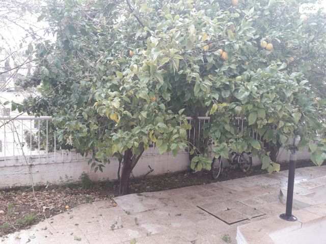 דירה, שמיר 58, גילה, ירושלים