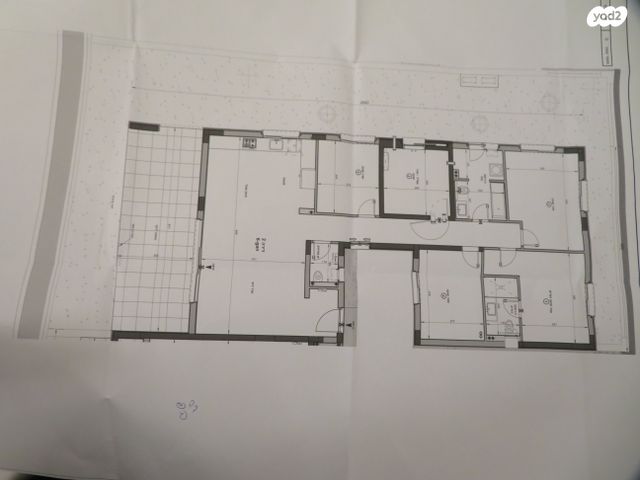 יצחק שמיר 100