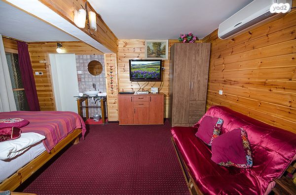 דירת גן, האורנים 1, אמירים