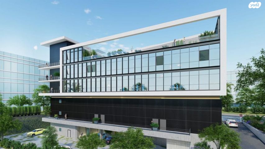 פנחס בלקני 2