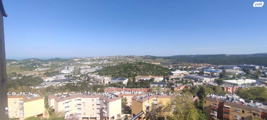 ז'בוטינסקי 435