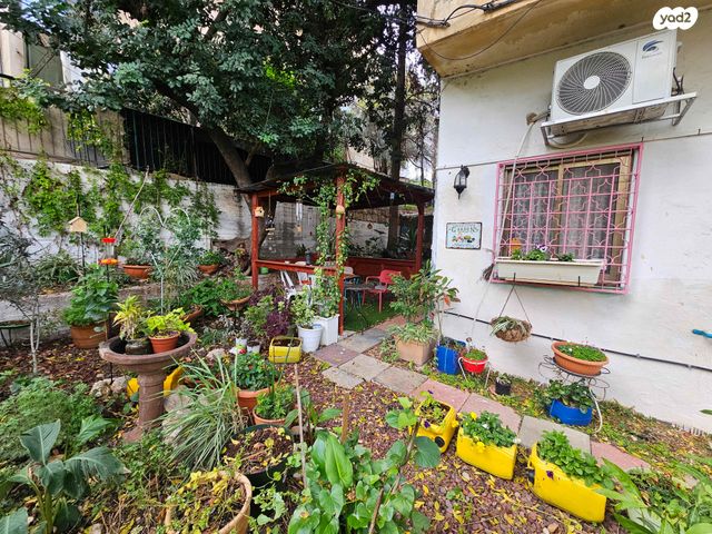 דירת גן, בר גיורא, הדר עליון, חיפה