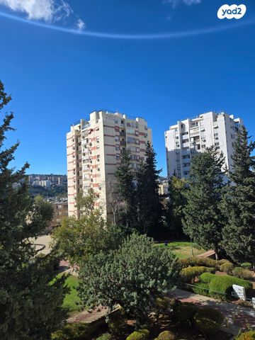 דירה, יעקב קליבנוב 6, יזרעאליה, חיפה