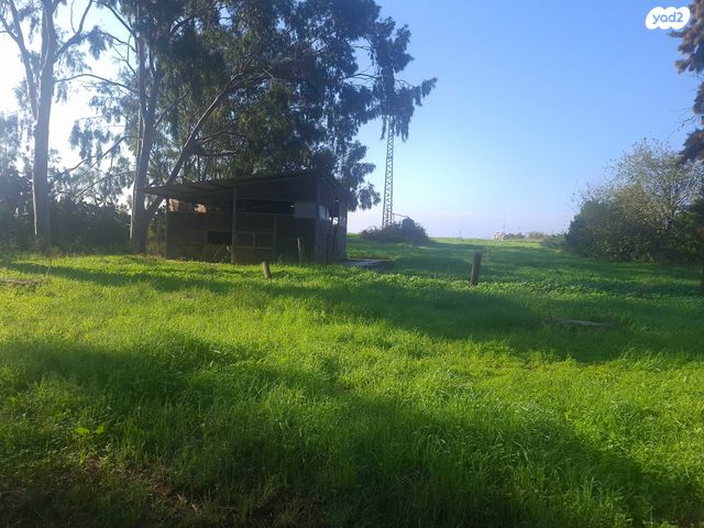 משק חקלאי/ נחלה