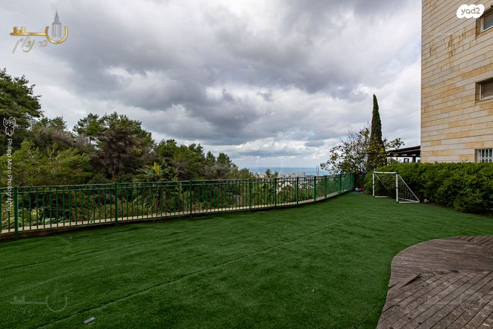 דירת גן, אוסקר שינדלר, סביוני הכרמל, חיפה