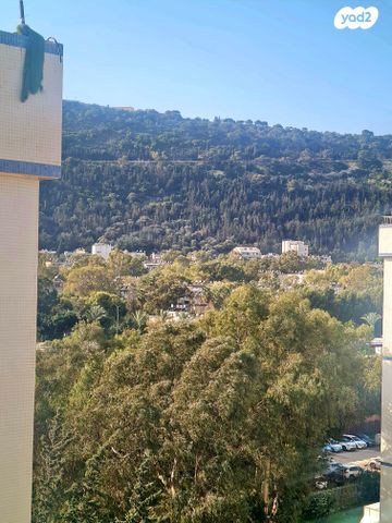 גג/ פנטהאוז, החי"ל 4, חיפה