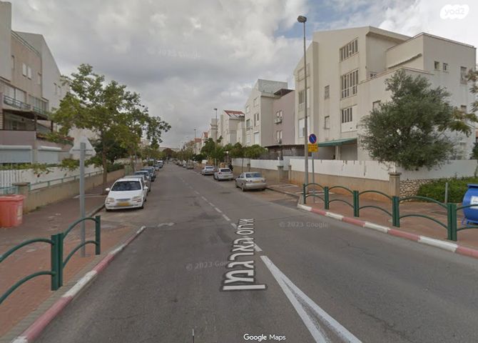 אירוס הארגמן 