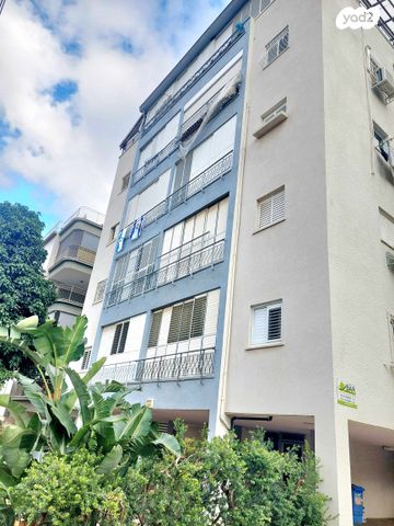 יהודה הלוי 24