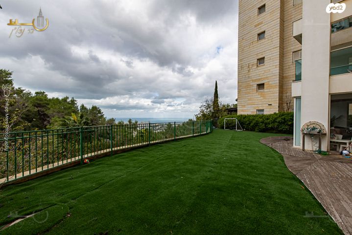 דירת גן, אוסקר שינדלר, סביוני הכרמל, חיפה