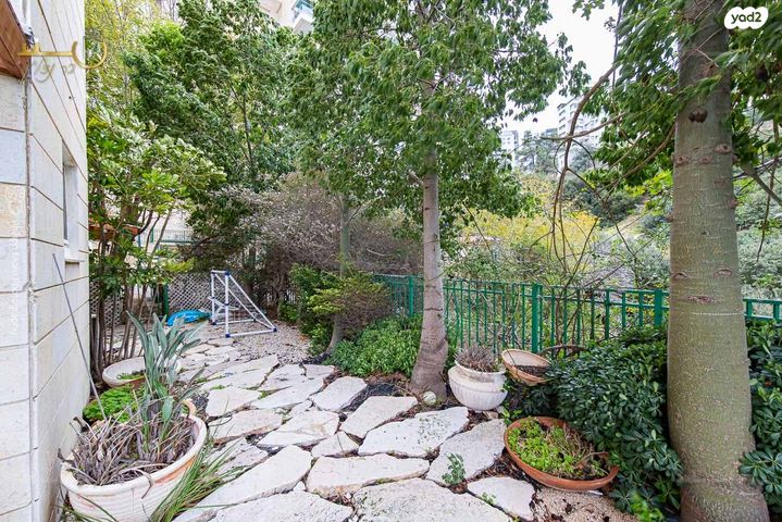 דירת גן, אוסקר שינדלר, סביוני הכרמל, חיפה