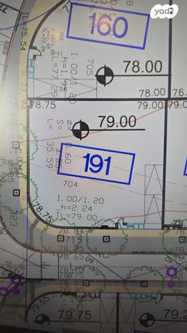 הרב שלום בר  חנין 