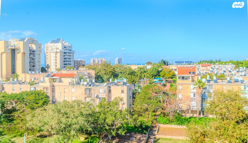 דירה, אפרידר, אשקלון