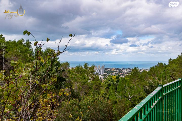 דירת גן, אוסקר שינדלר, סביוני הכרמל, חיפה