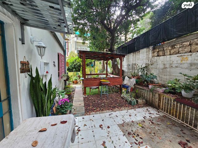 דירת גן, בר גיורא, הדר עליון, חיפה