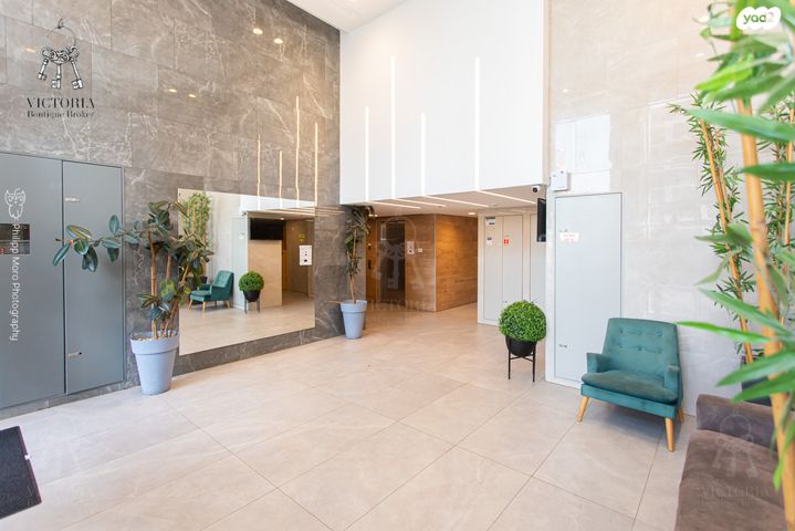 דירה, האנפה, החותרים, טירת כרמל