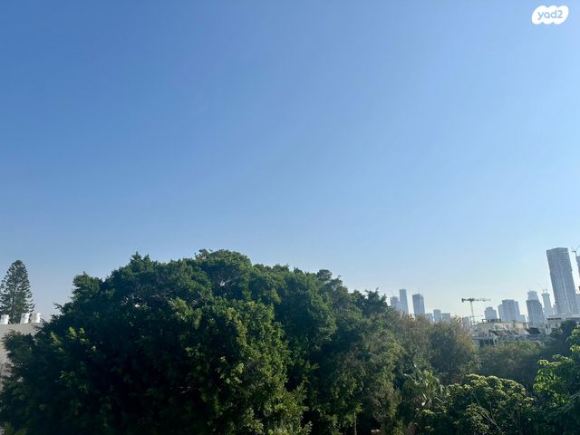 דירה, דיזנגוף, הצפון הישן - צפון, תל אביב יפו