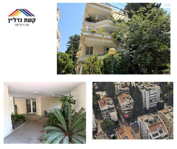 דירה, הגר"א, פועלים ד, כפר סבא