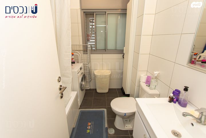 דירה, החותרים, טירת כרמל