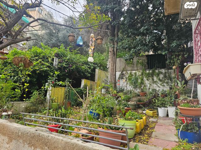 דירת גן, בר גיורא, הדר עליון, חיפה