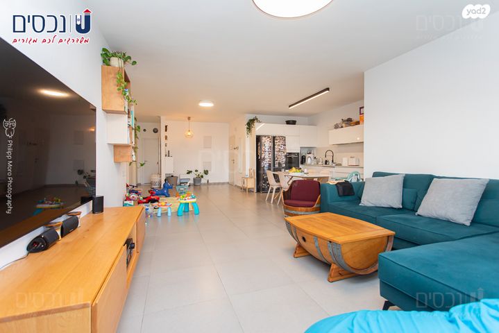 דירה, החותרים, טירת כרמל