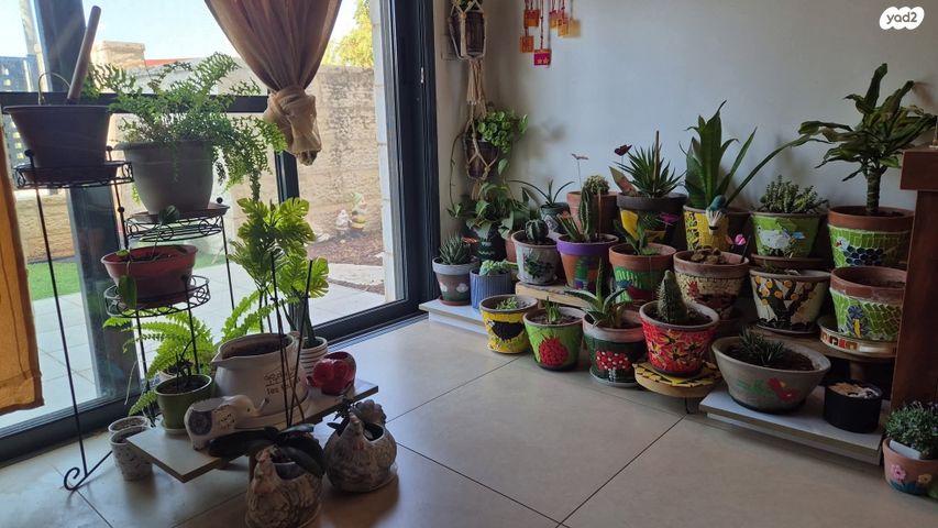 דירת גן, פסגות אפק, ראש העין