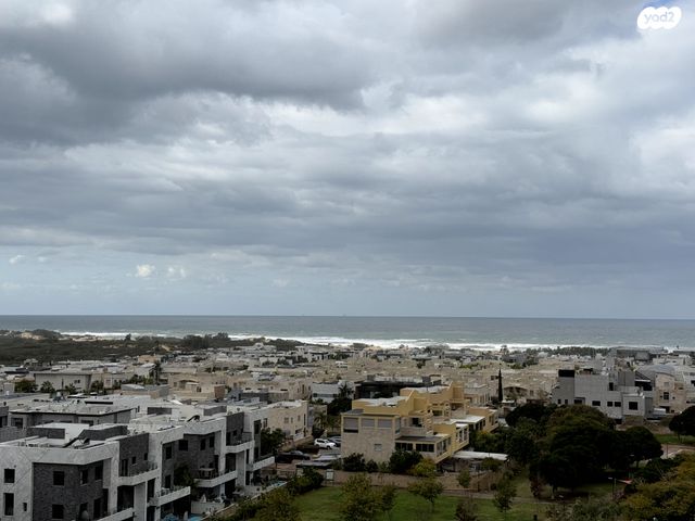 דירה, רובע י"ז, אשדוד