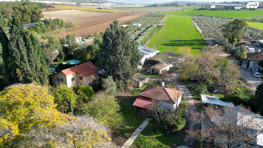 משק חקלאי/ נחלה