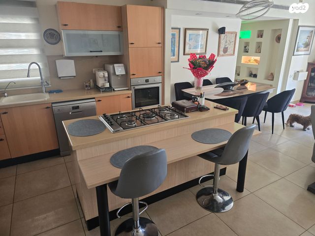 גג/ פנטהאוז, משה סנה, הדר המושבות החדשה / אם המושבות החדשה, פתח תקווה