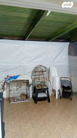 דירת גן, נתיבות