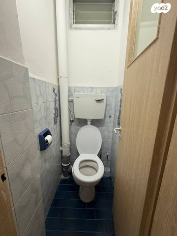 דירה, עמוס, בן דור, נשר