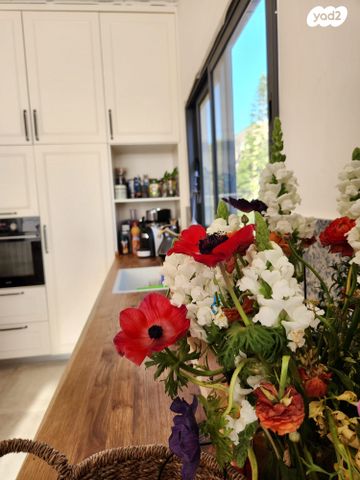 גג/ פנטהאוז, ברנר, מרכז דרום, רעננה