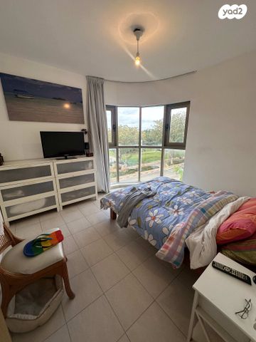 דוד וולפסון 