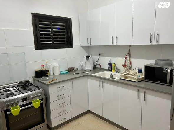 אריה מוצקין 