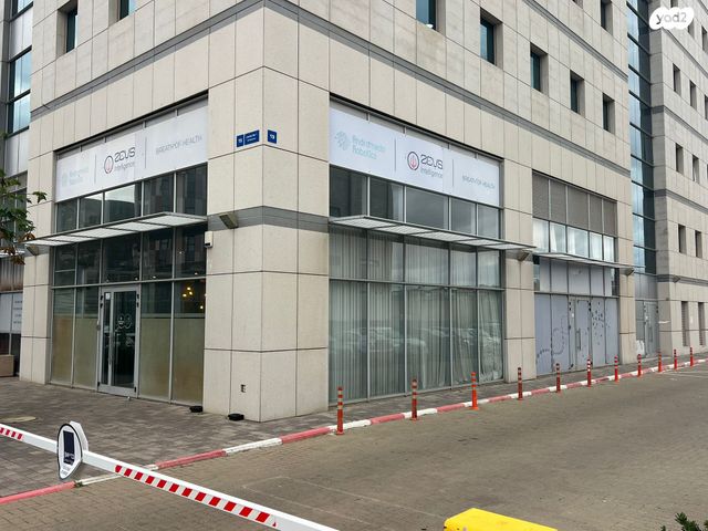 אלי הורוביץ 