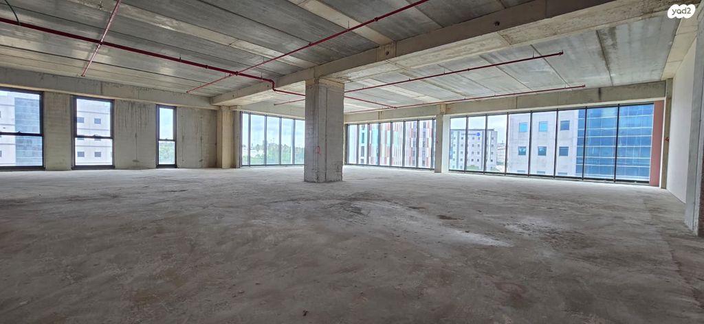 אלי הורוביץ 