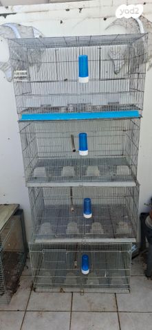 תמונת מודעה - חיות מחמד