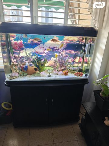 תמונת מודעה - חיות מחמד