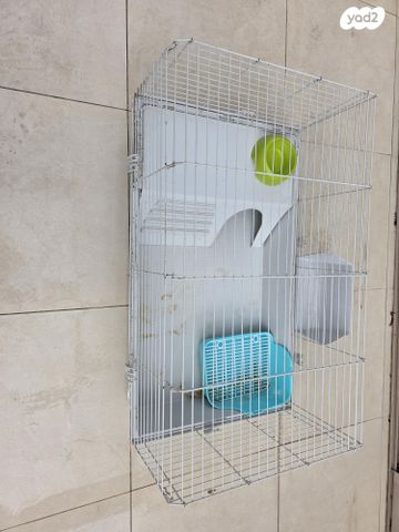 תמונת מודעה - חיות מחמד