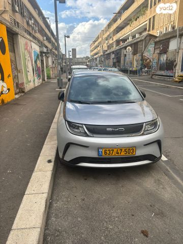 בי.ווי.די דולפין