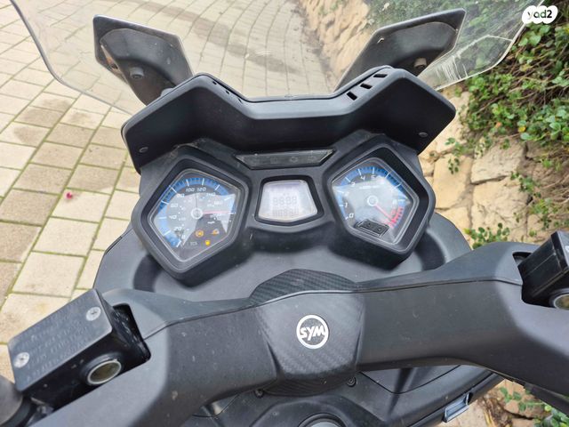 סאן יאנג ג'וי-מקס Z-300