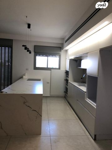 אריה בן אליעזר 11