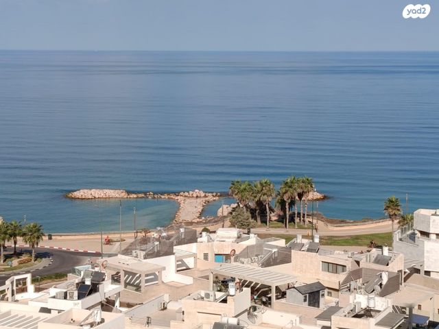 פייר קניג 37