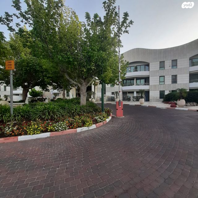 דירה, הפסגה 1, שורש, שורש